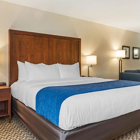 Comfort Inn & Suites Near Route 66 Lincoln Pokoj fotografie