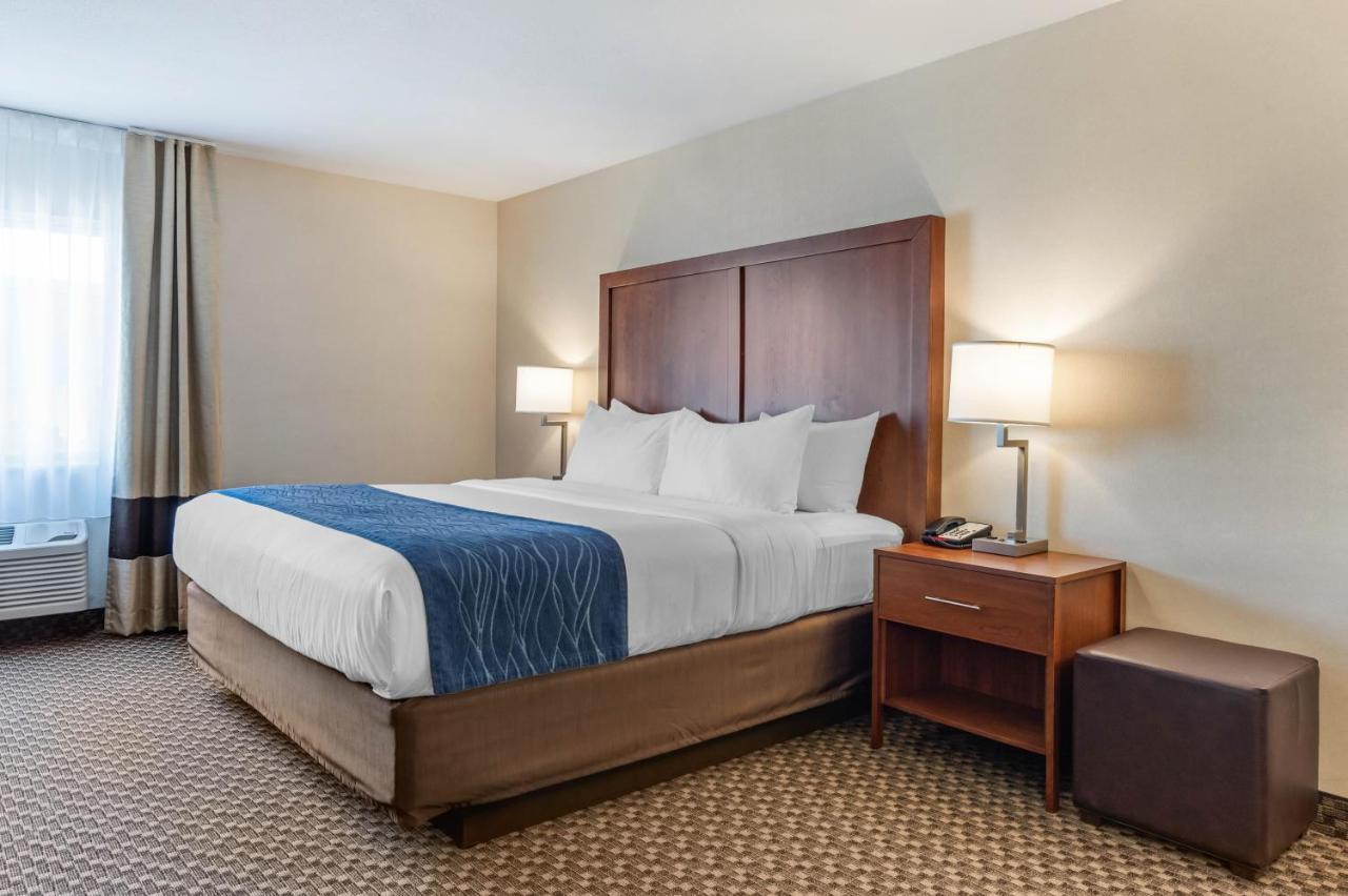 Comfort Inn & Suites Near Route 66 Lincoln Pokoj fotografie